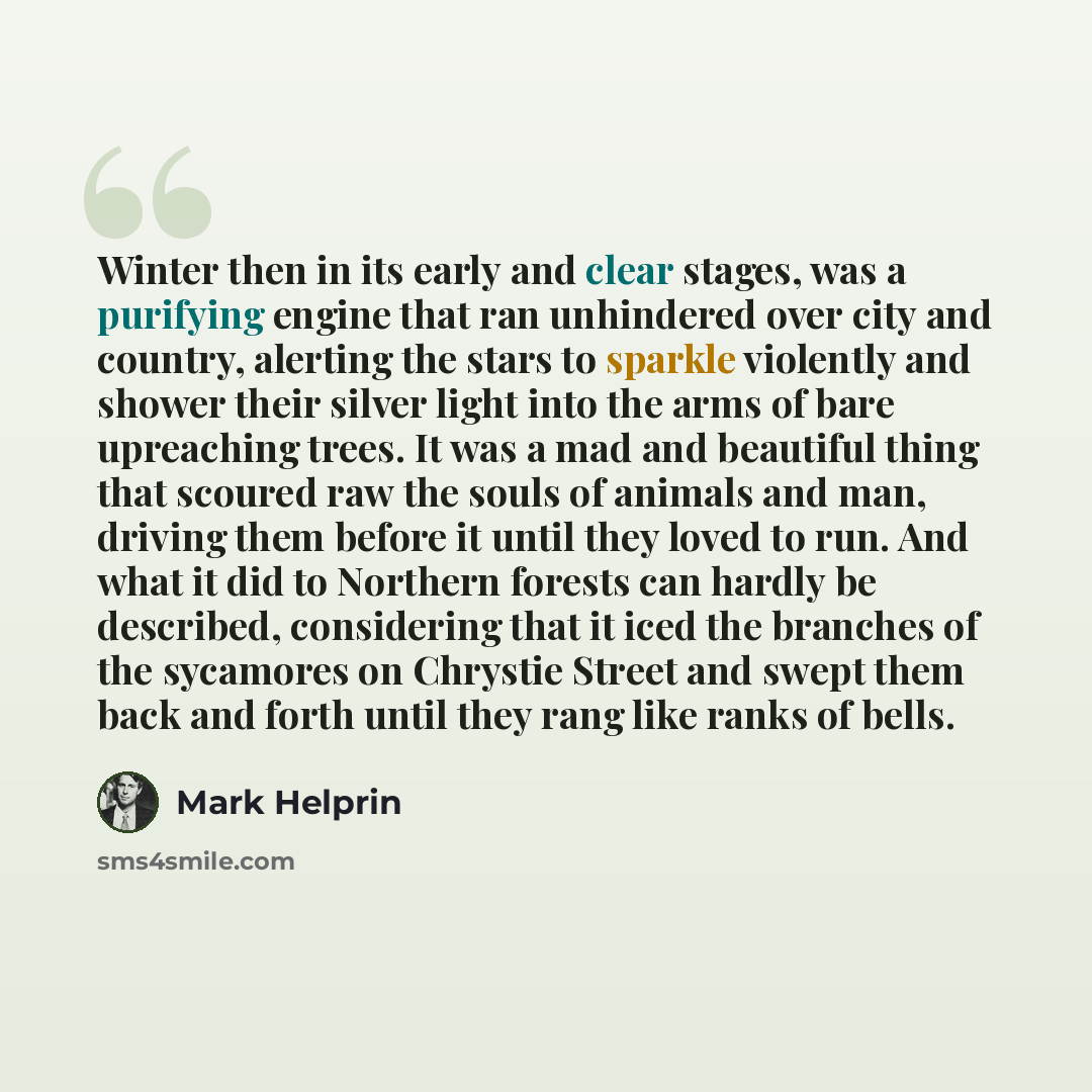 “Winter then in its early and clear stages, was a purifying engine that ran unhindered over city and country, alerting the stars to sparkle violently and shower their silver light into the arms of bare upreaching trees. It was a mad and beautiful thing that scoured raw the souls of animals and man…” quote by Mark Helprin