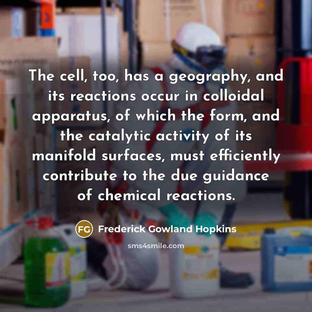 “The cell, too, has a geography, and its reactions occur in colloidal apparatus, of which the form, and the catalytic activity of its manifold surfaces, must efficiently contribute to the due guidance of chemical reactions.” quote by Frederick Gowland Hopkins