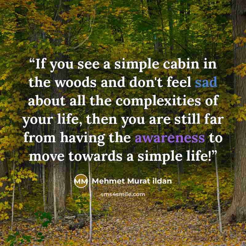 “If you see a simple cabin in the woods and don't feel sad about all the complexities of your life, then you are still far from having the awareness to move towards a simple life!” quote by Mehmet Murat ildan