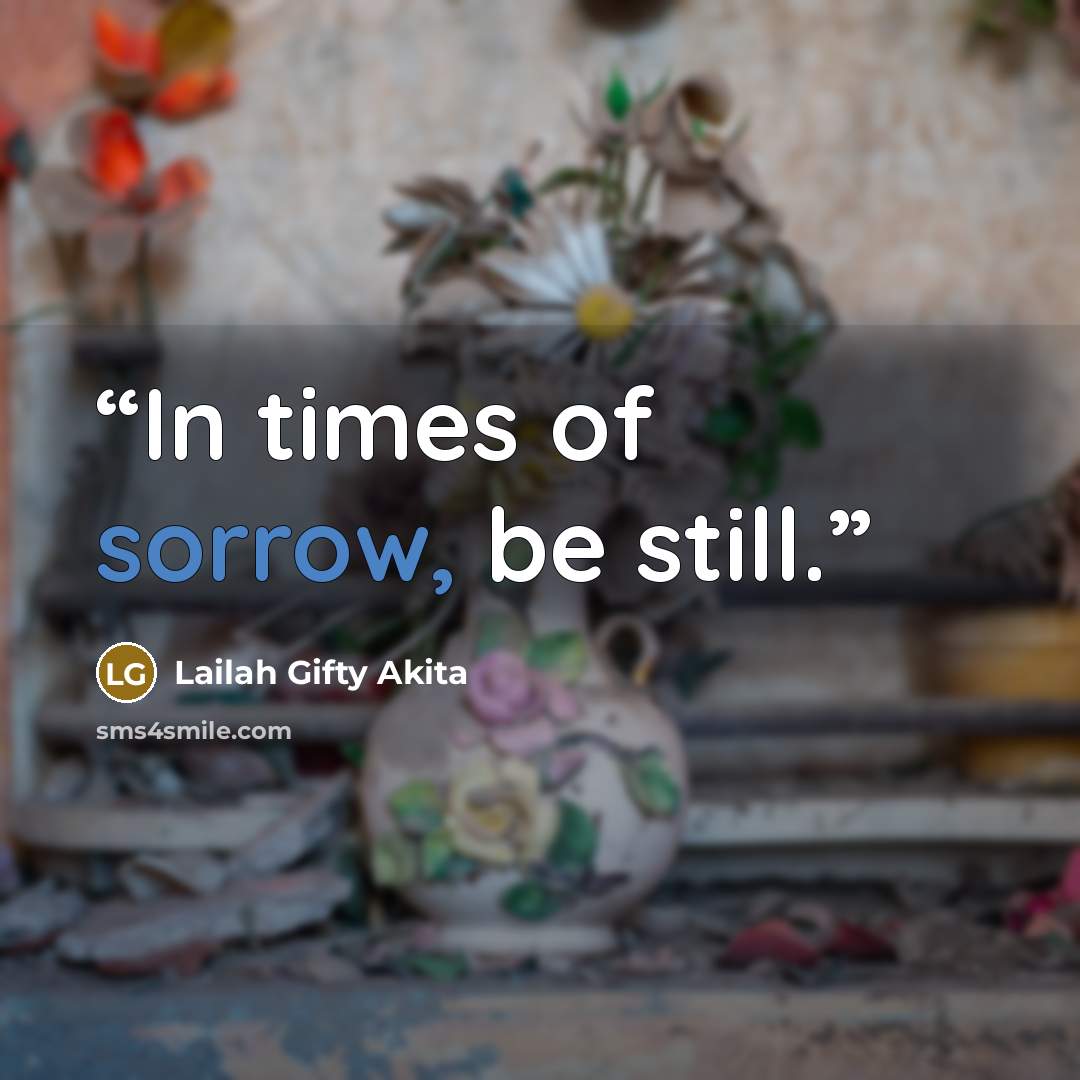 “In times of sorrow, be still.” quote by Lailah Gifty Akita