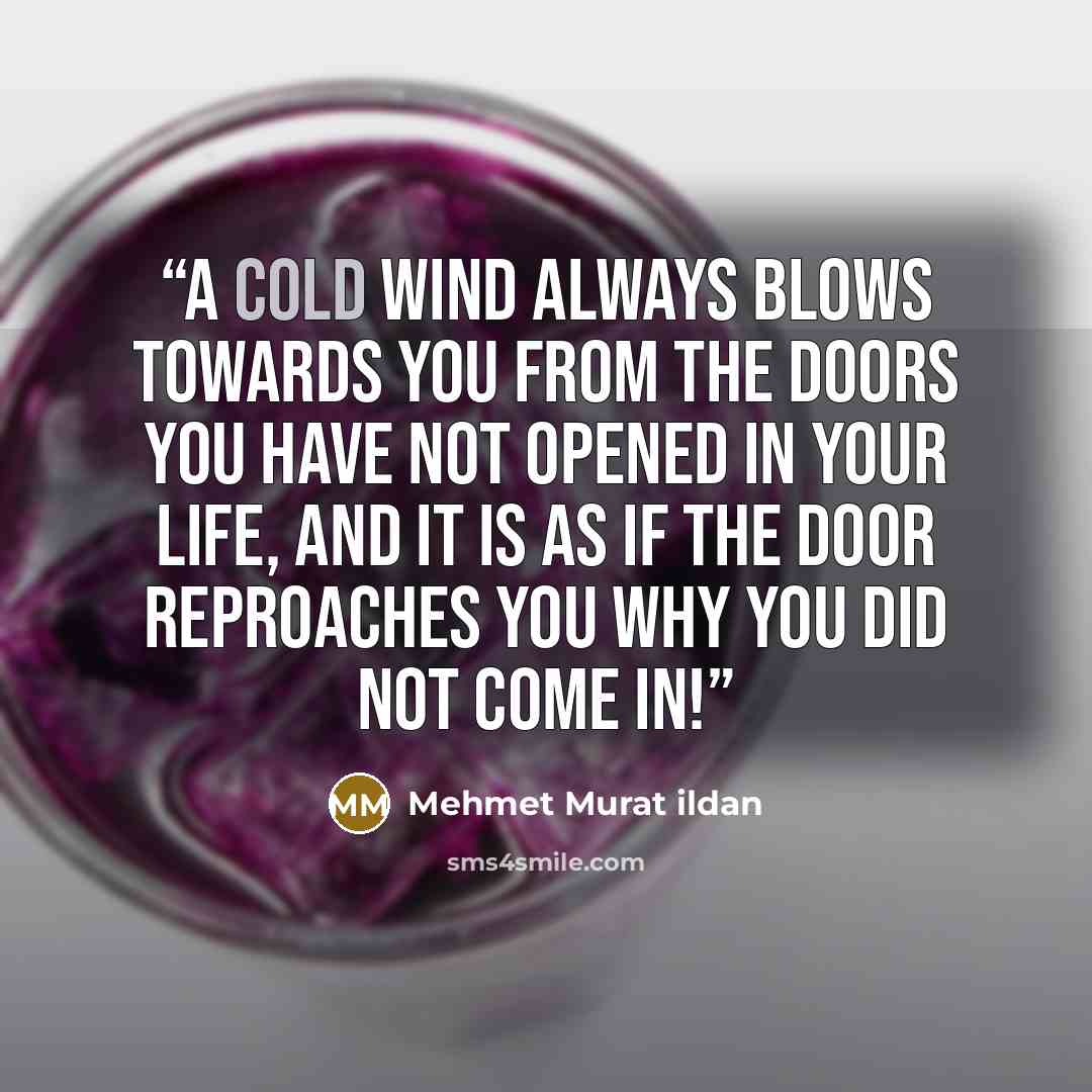 “A cold wind always blows towards you from the doors you have not opened in your life, and it is as if the door reproaches you why you did not come in!” quote by Mehmet Murat ildan