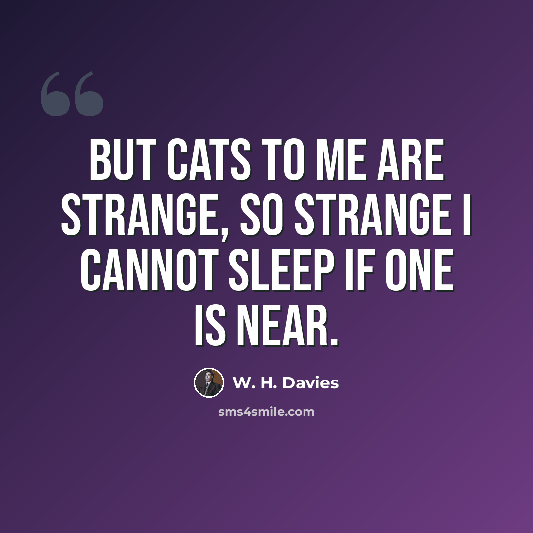 “But cats to me are strange, so strange I cannot sleep if one is near.” quote by W. H. Davies