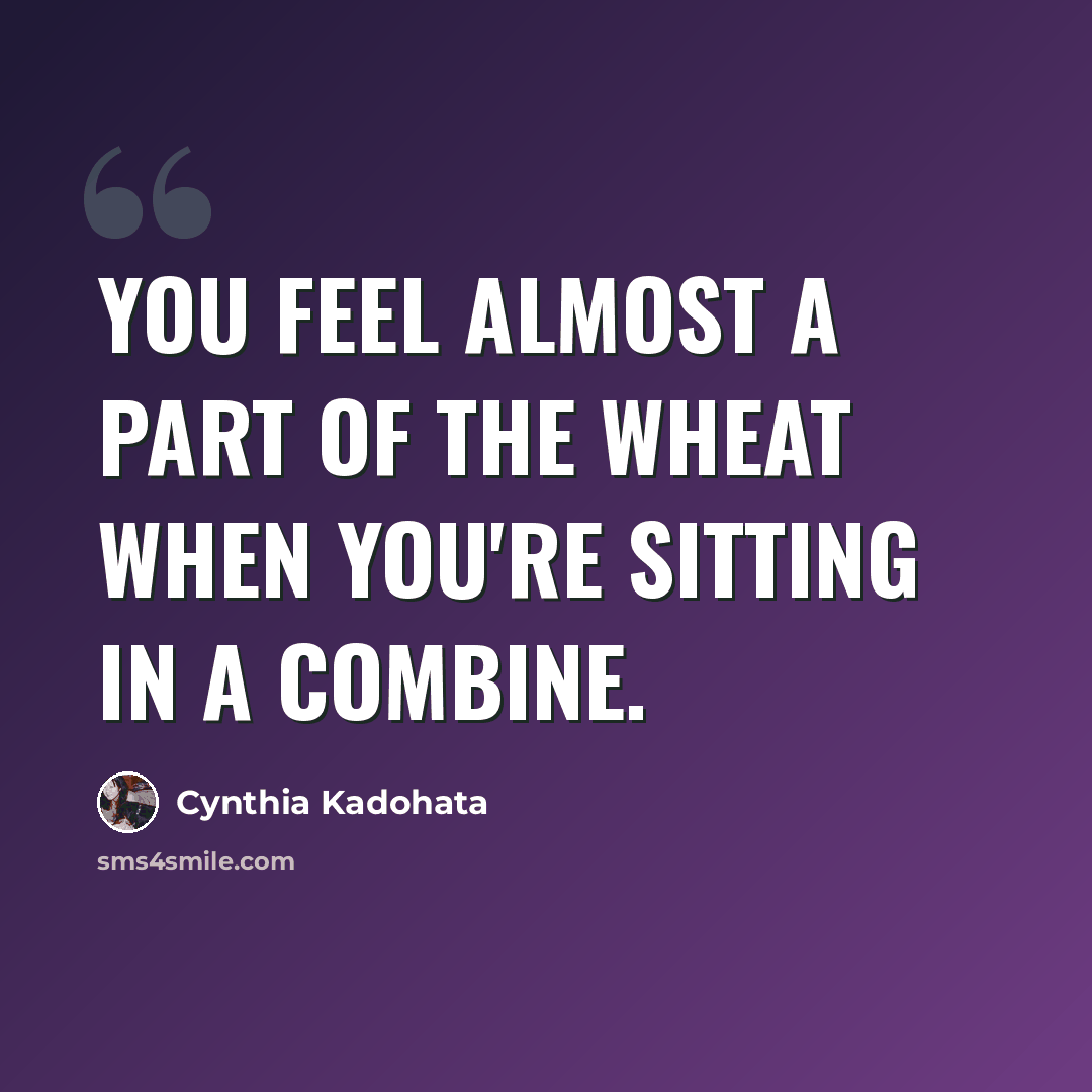 “You feel almost a part of the wheat when you're sitting in a combine.” quote by Cynthia Kadohata
