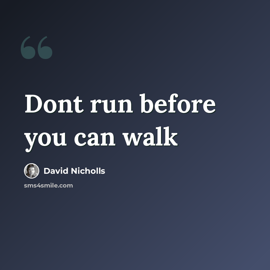 “Dont run before you can walk” quote by David Nicholls
