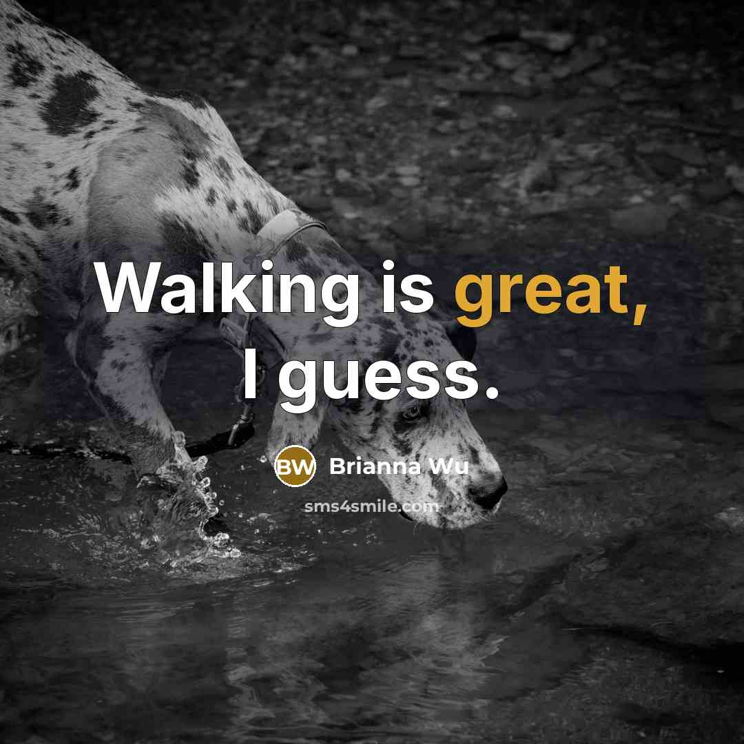 “Walking is great, I guess.” quote by Brianna Wu