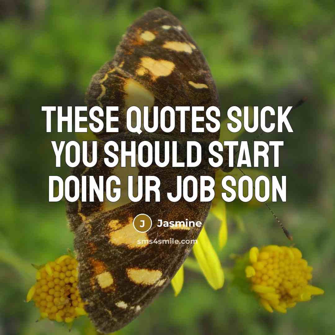 “These quotes suck you should start doing ur job soon” quote by Jasmine