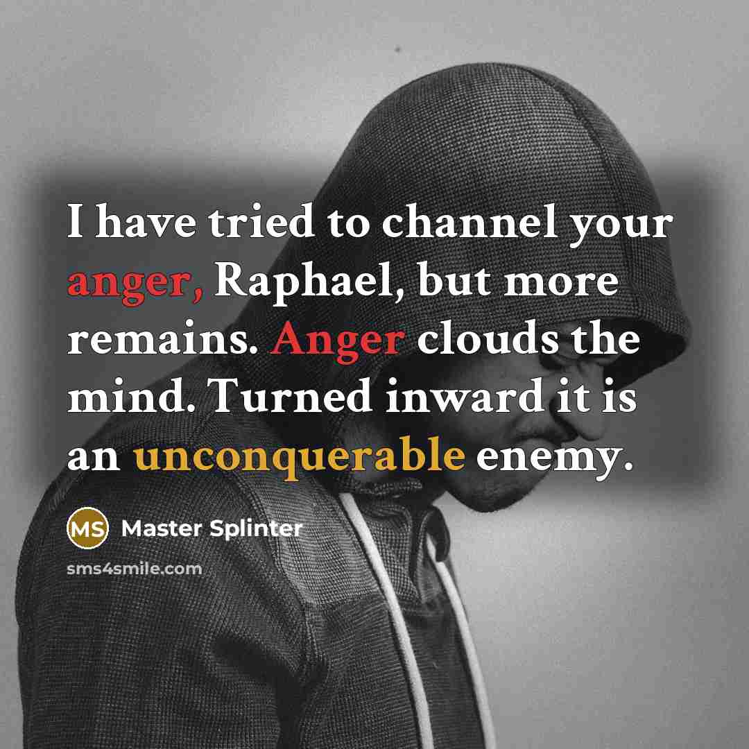 “I have tried to channel your anger, Raphael, but more remains. Anger clouds the mind. Turned inward it is an unconquerable enemy.” quote by Master Splinter