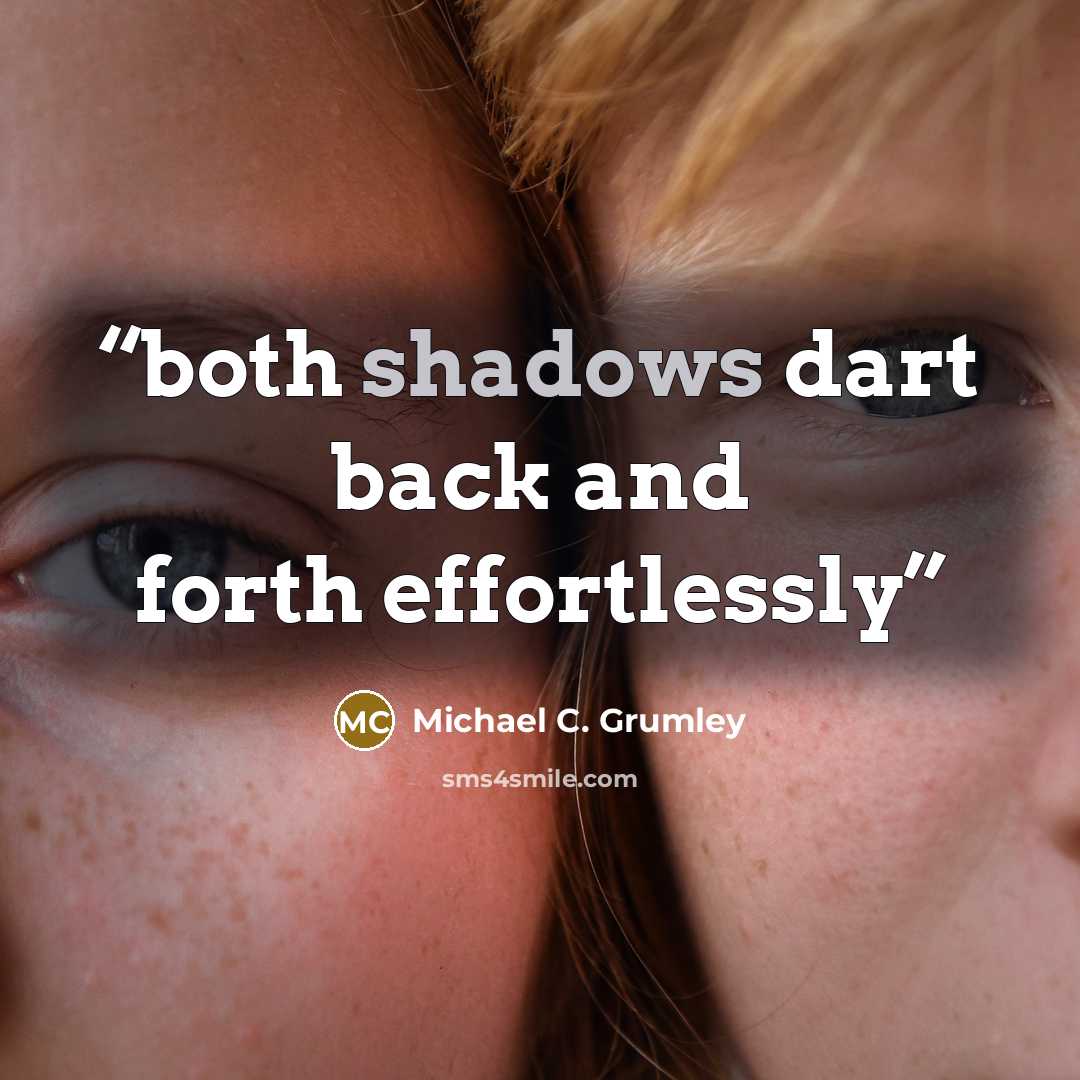 “both shadows dart back and forth effortlessly” quote by Michael C. Grumley