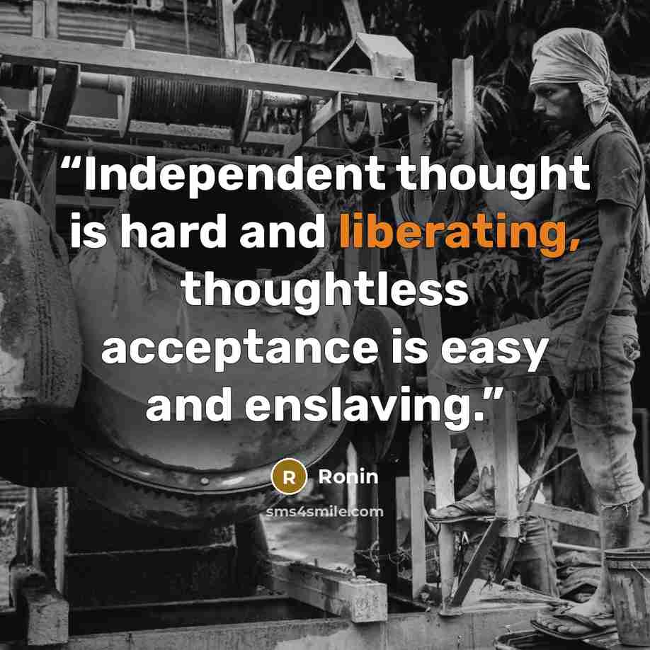 “Independent thought is hard and liberating, thoughtless acceptance is easy and enslaving.” quote by Ronin