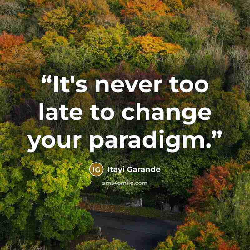 “It's never too late to change your paradigm.” quote by Itayi Garande