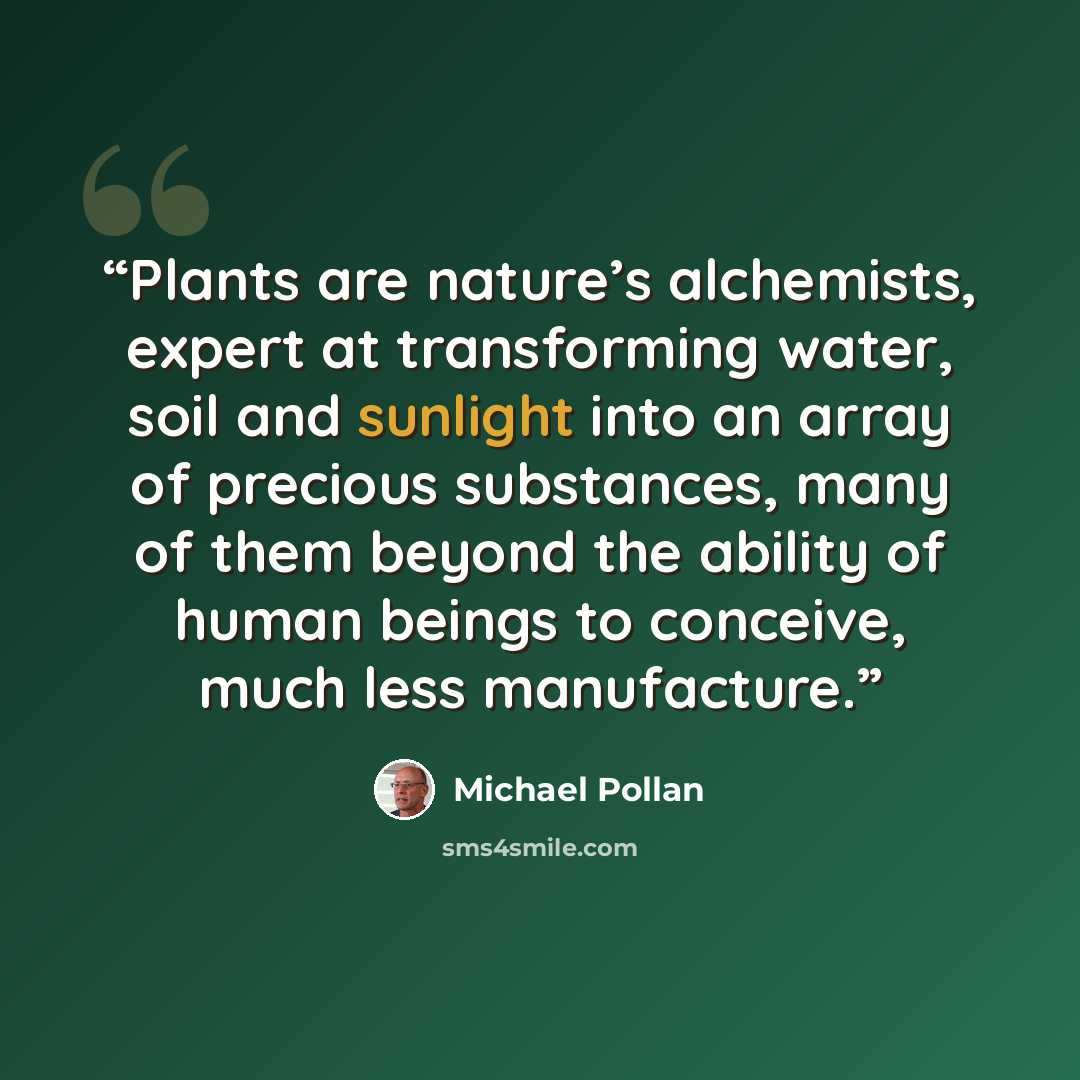 “Plants are nature’s alchemists, expert at transforming water, soil and sunlight into an array of precious substances, many of them beyond the ability of human beings to conceive, much less manufacture.” quote by Michael Pollan