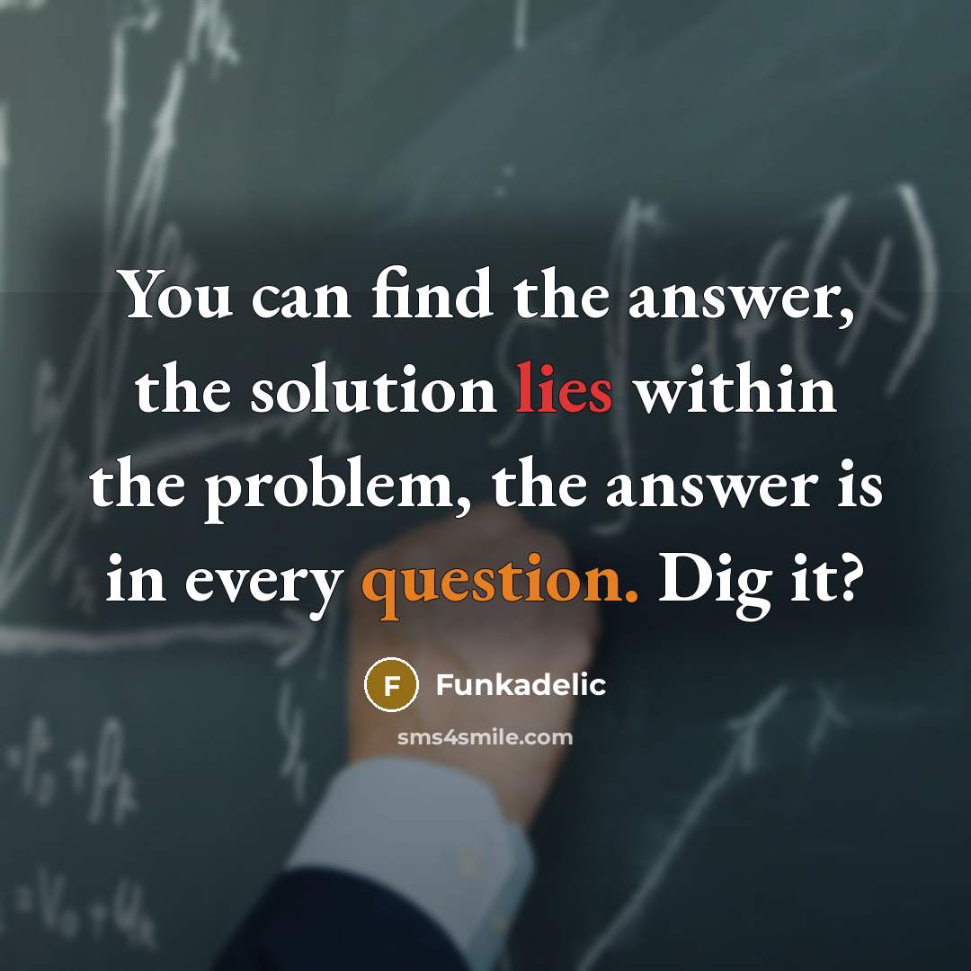 “You can find the answer, the solution lies within the problem, the answer is in every question. Dig it?” quote by Funkadelic