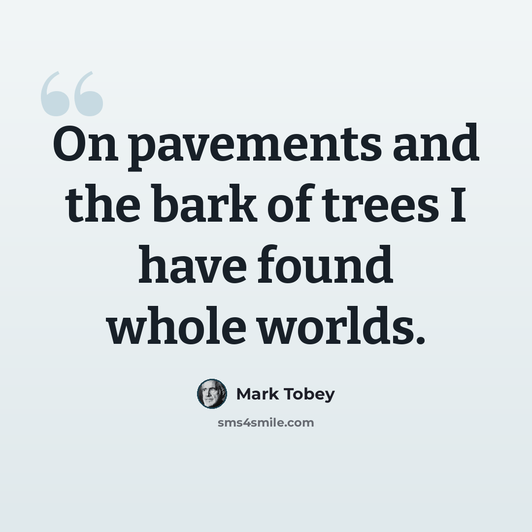 “On pavements and the bark of trees I have found whole worlds.” quote by Mark Tobey