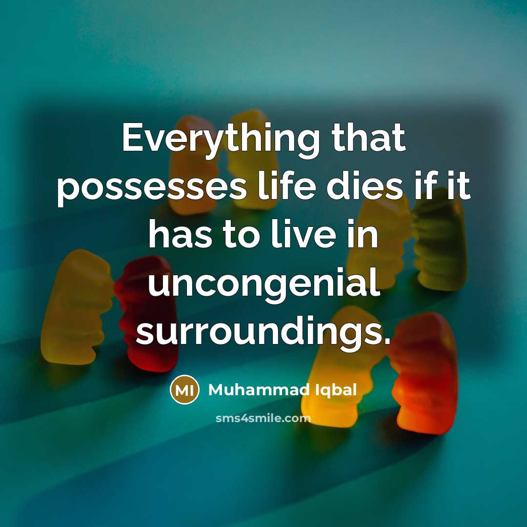 “Everything that possesses life dies if it has to live in uncongenial surroundings.” quote by Muhammad Iqbal