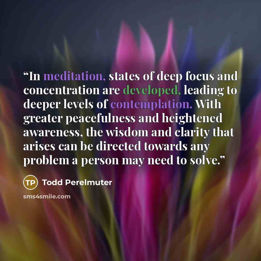 “In meditation, states of deep focus and concentration are developed, leading to deeper levels of contemplation. With greater peacefulness and heightened awareness, the wisdom and clarity that arises can be directed towards any problem a person may need to solve.” quote by Todd Perelmuter
