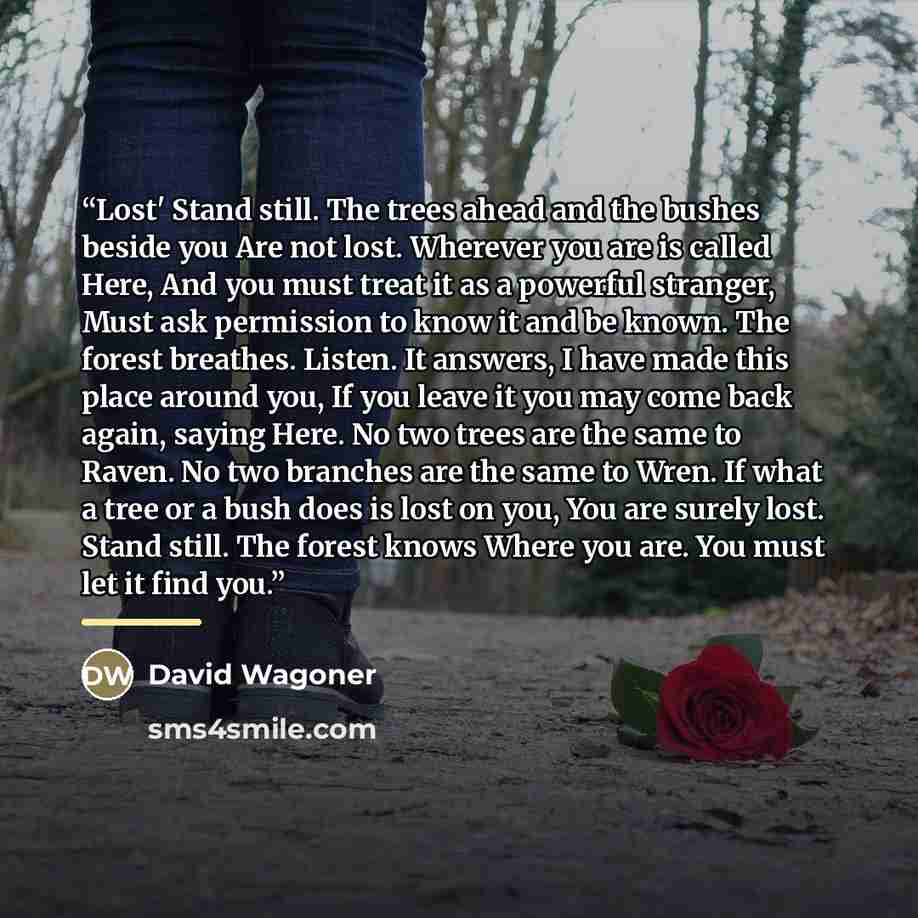 “Lost' Stand still. The trees ahead and the bushes beside you Are not lost. Wherever you are is called Here, And you must treat it as a powerful stranger, Must ask permission to know it and be known. The forest breathes. Listen. It answers, I have made this place around you, If you leave it you may…” quote by David Wagoner