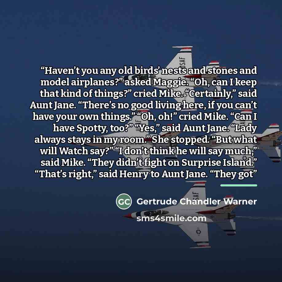 “Haven’t you any old birds’ nests and stones and model airplanes?” asked Maggie. “Oh, can I keep that kind of things?” cried Mike. “Certainly,” said Aunt Jane. “There’s no good living here, if you can’t have your own things.” “Oh, oh!” cried Mike. “Can I have Spotty, too?” “Yes,” said Aunt Jane…” quote by Gertrude Chandler Warner