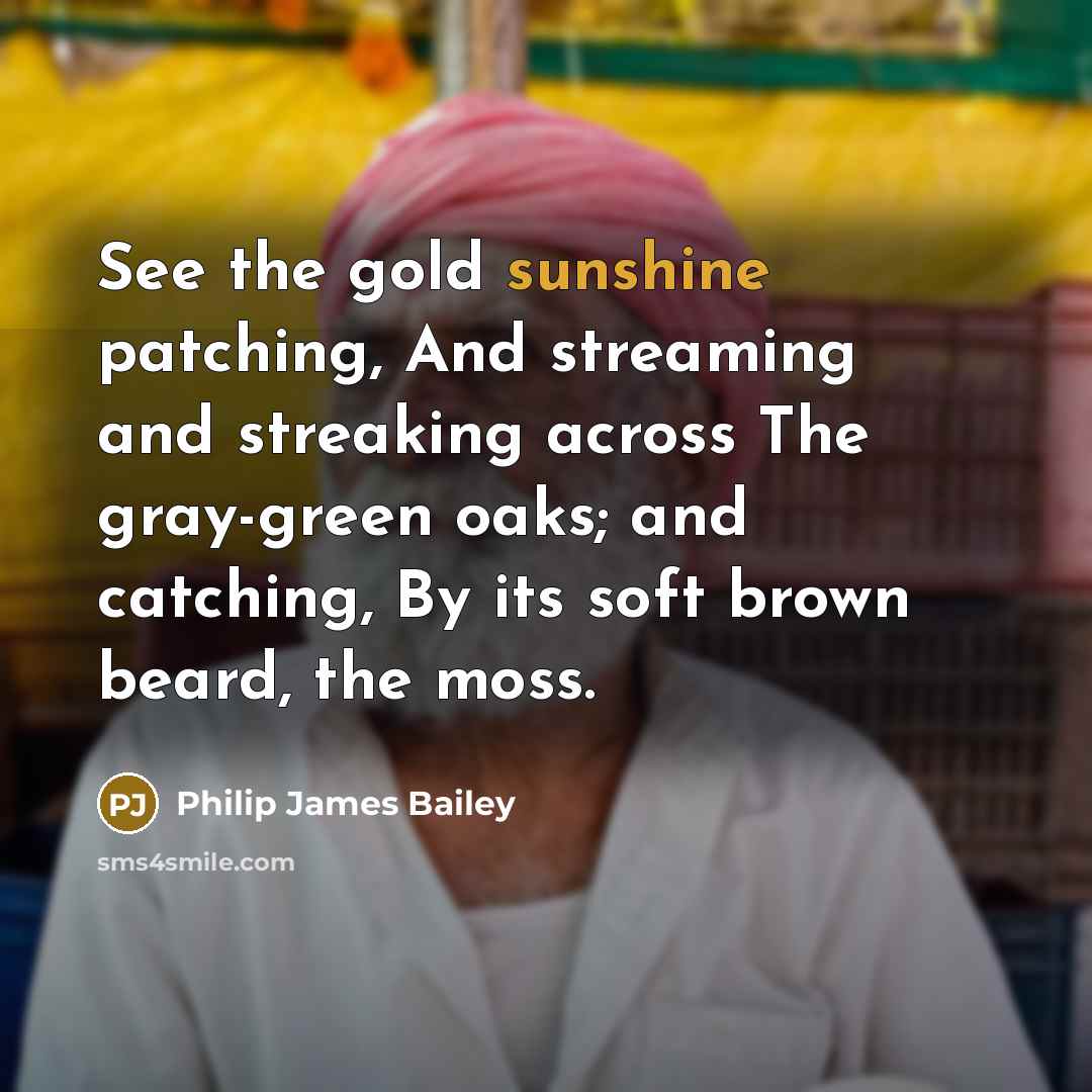 “See the gold sunshine patching, And streaming and streaking across The gray-green oaks; and catching, By its soft brown beard, the moss.” quote by Philip James Bailey