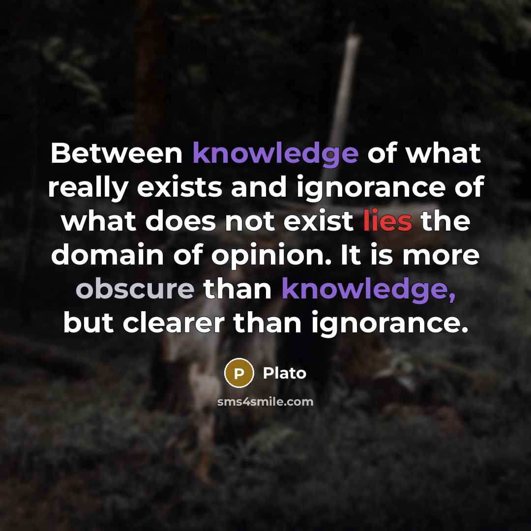 “Between knowledge of what really exists and ignorance of what does not exist lies the domain of opinion. It is more obscure than knowledge, but clearer than ignorance.” quote by Plato