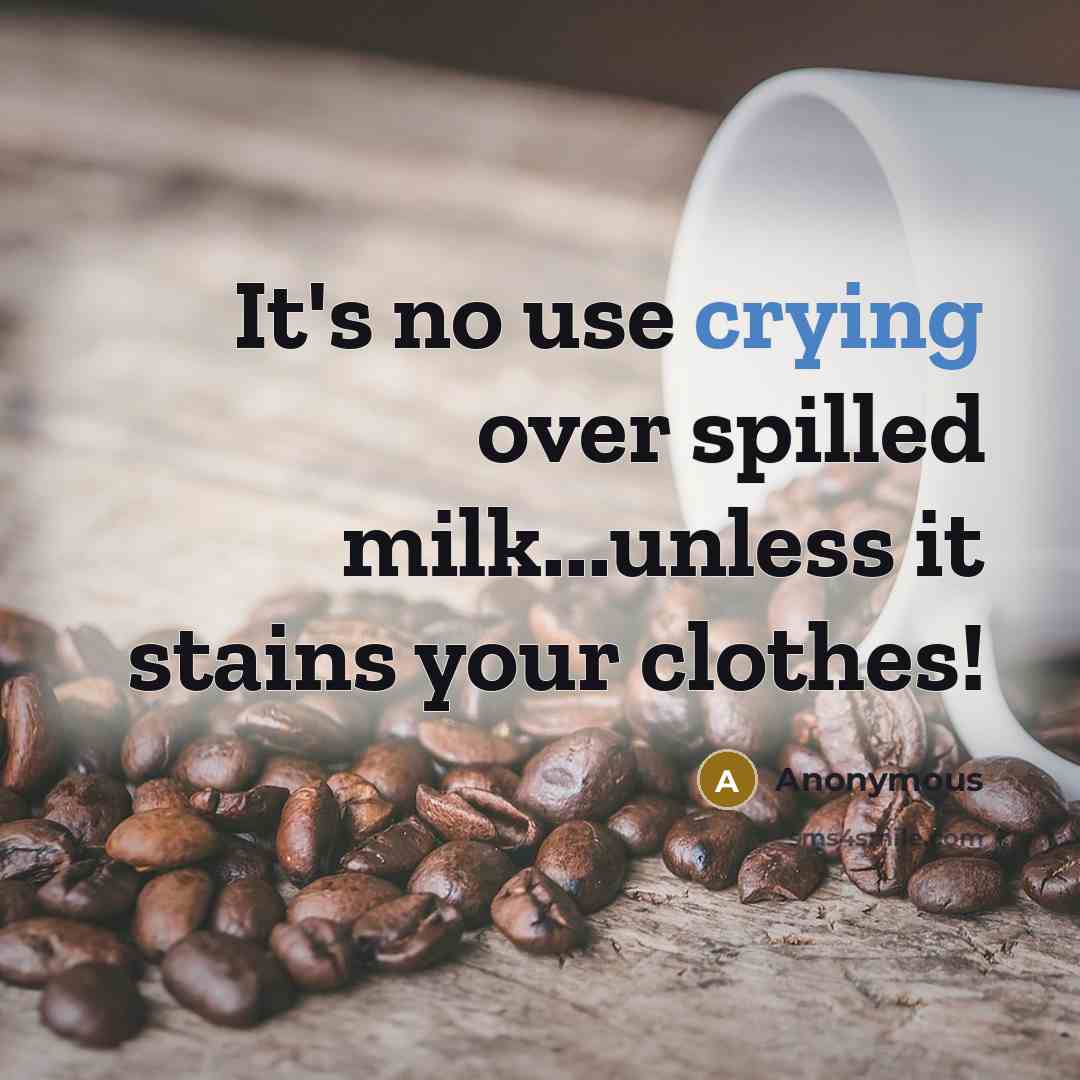 “It's no use crying over spilled milk...unless it stains your clothes!” quote by Anonymous