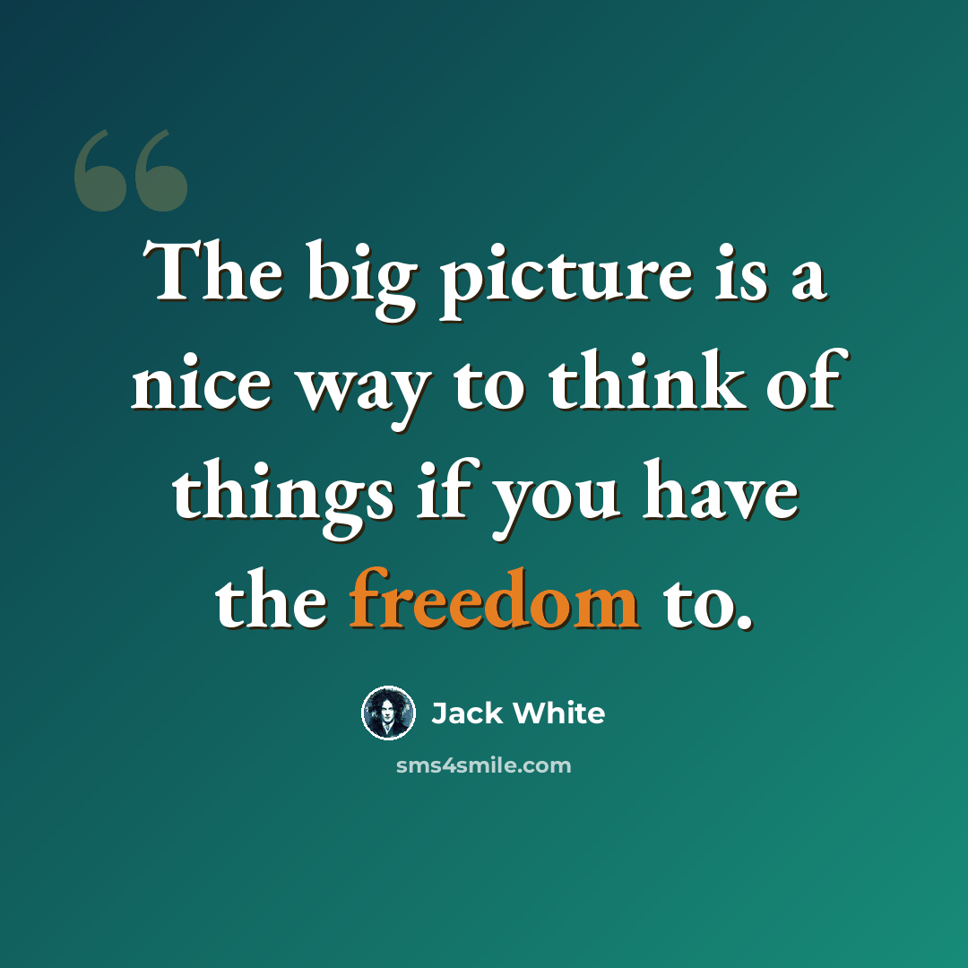 “The big picture is a nice way to think of things if you have the freedom to.” quote by Jack White