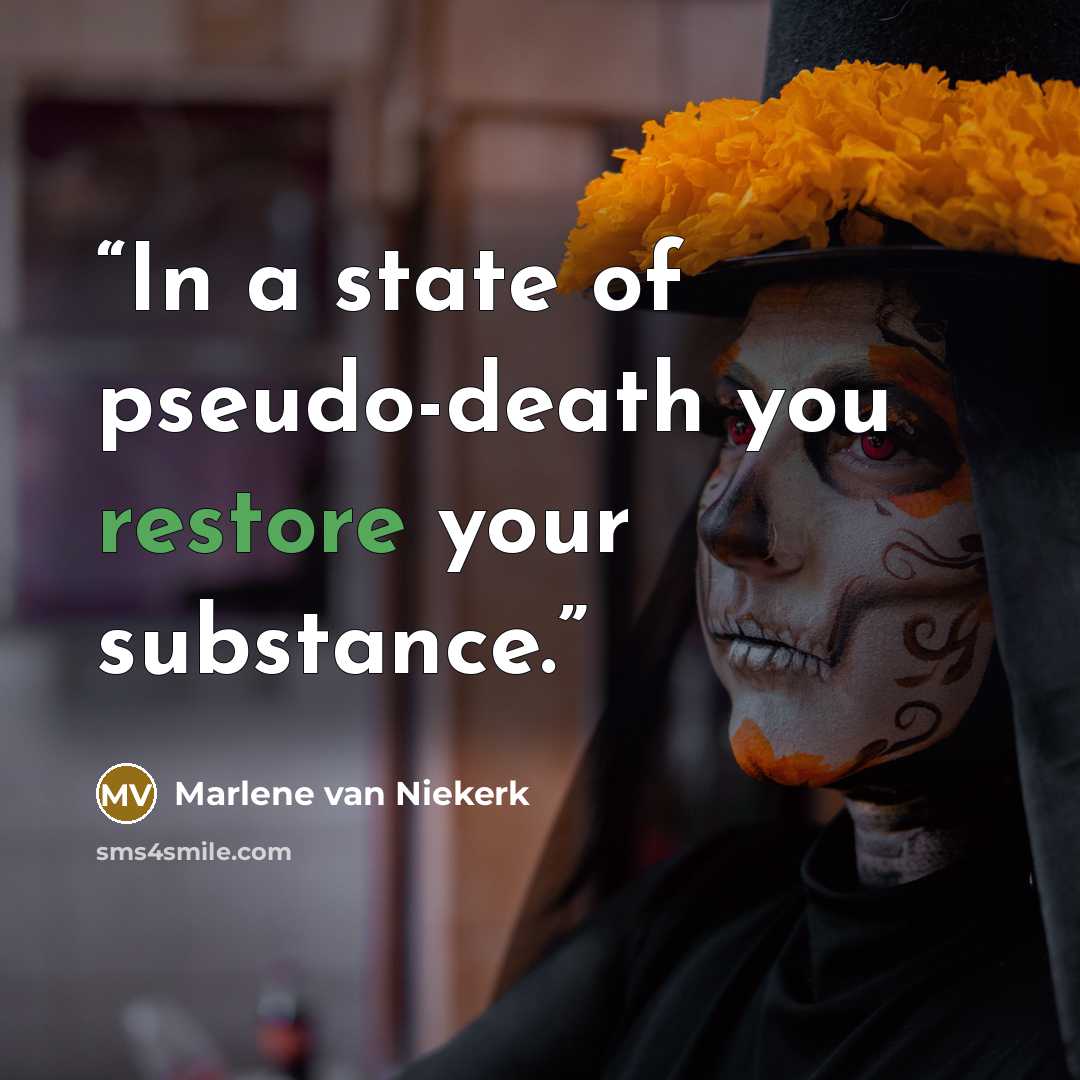 “In a state of pseudo-death you restore your substance.” quote by Marlene Van Niekerk