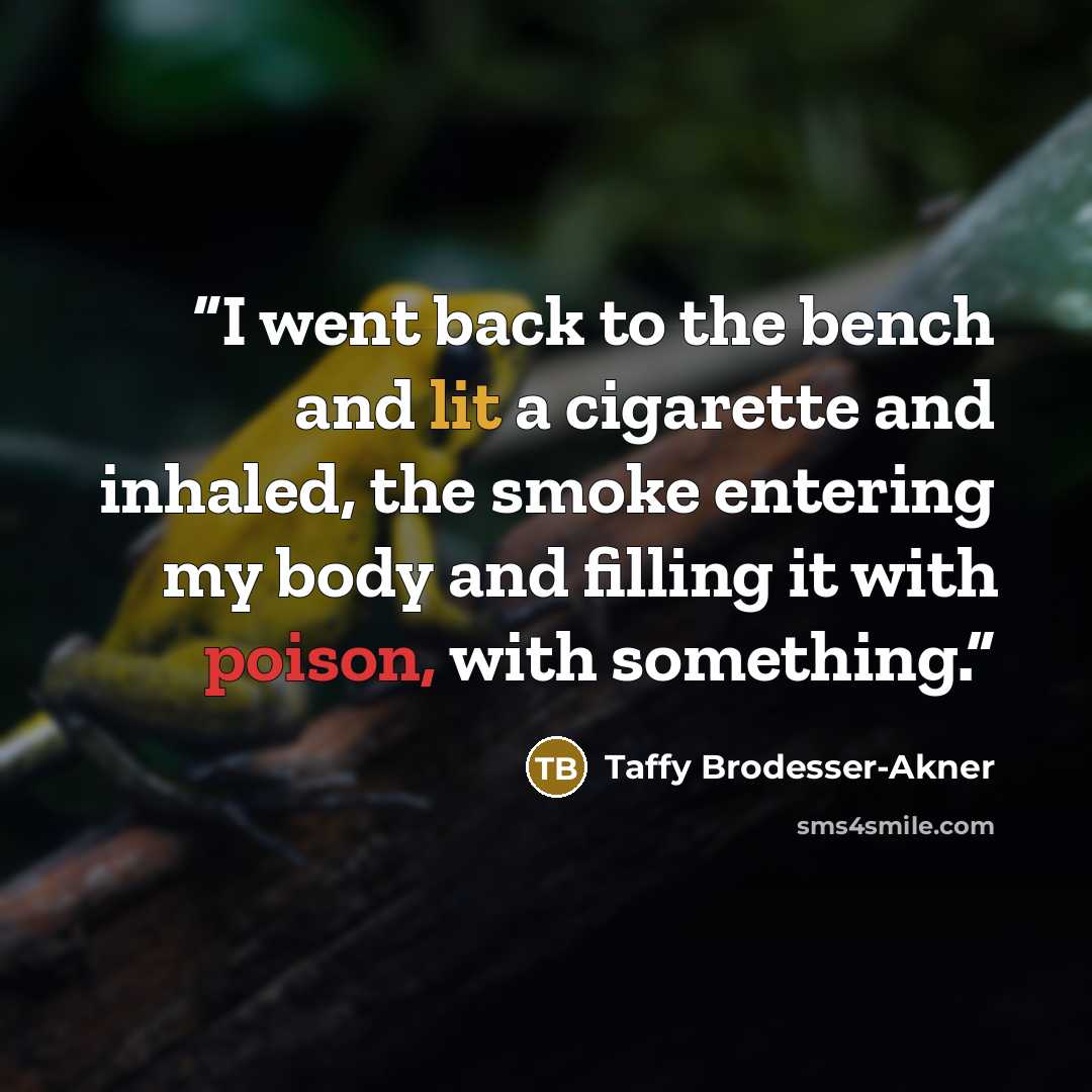 “I went back to the bench and lit a cigarette and inhaled, the smoke entering my body and filling it with poison, with something.” quote by Taffy Brodesser-Akner