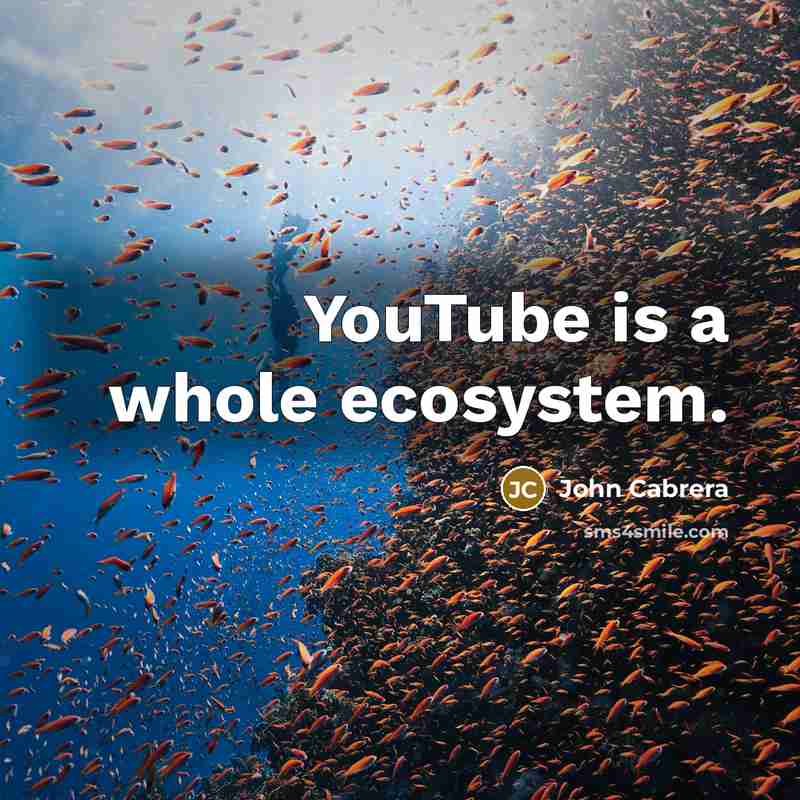 “YouTube is a whole ecosystem.” quote by John Cabrera