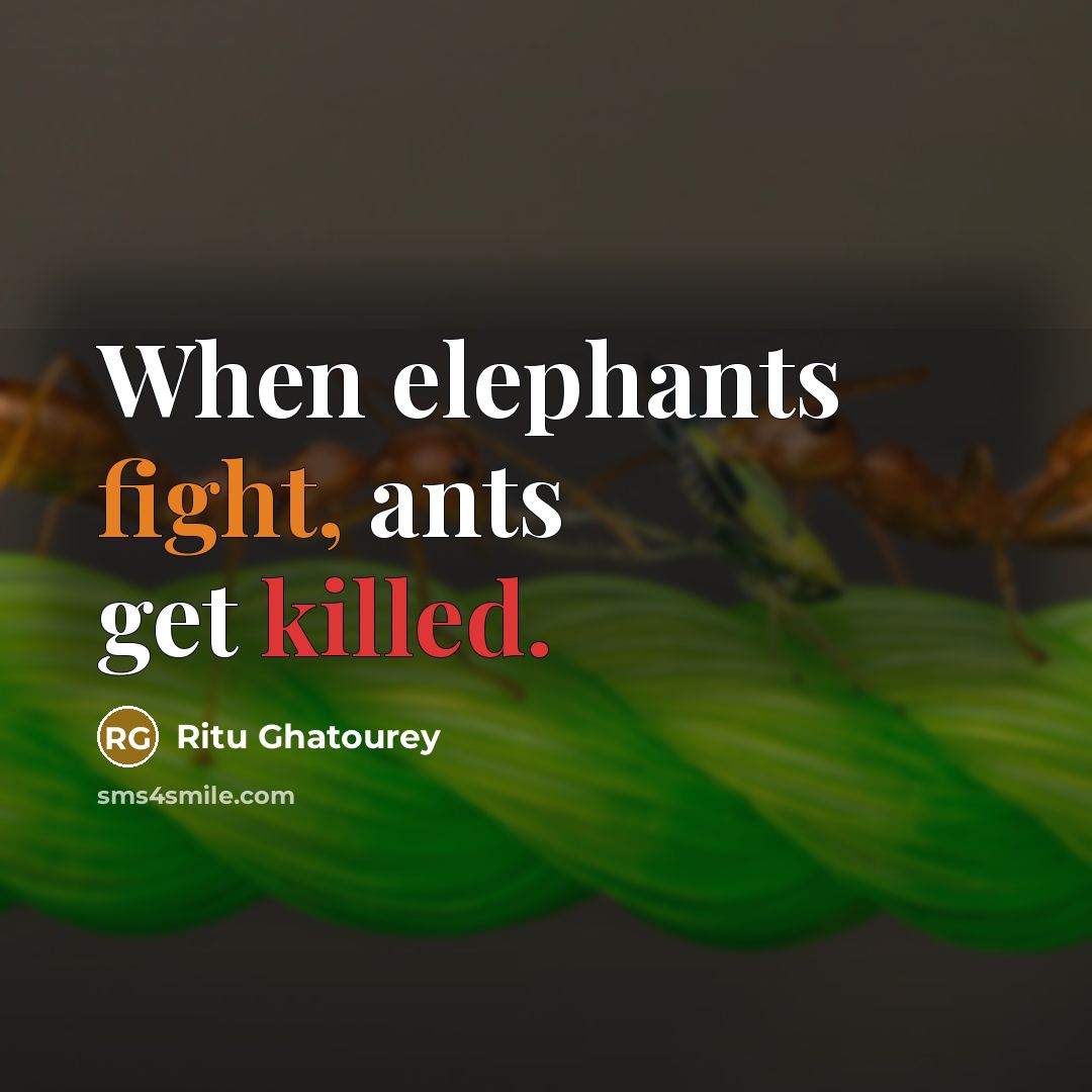 “When elephants fight, ants get killed.” quote by Ritu Ghatourey