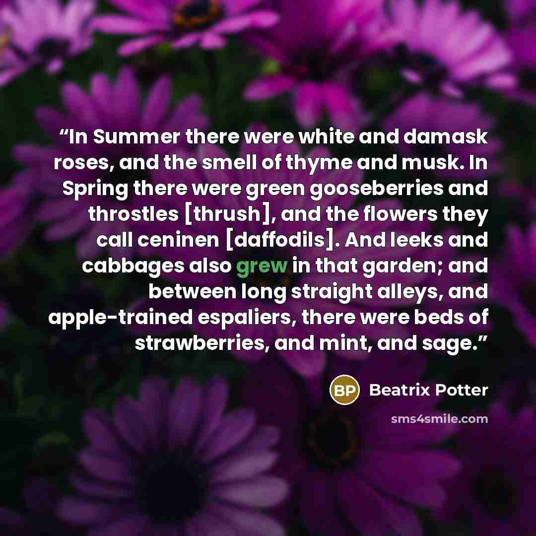 “In Summer there were white and damask roses, and the smell of thyme and musk. In Spring there were green gooseberries and throstles [thrush], and the flowers they call ceninen [daffodils]. And leeks and cabbages also grew in that garden; and between long straight alleys, and apple-trained…” quote by Beatrix Potter
