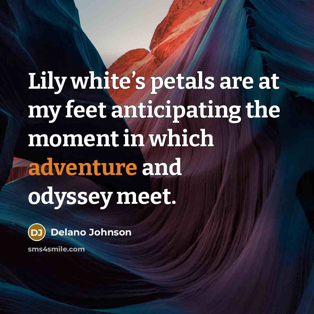 “Lily white’s petals are at my feet anticipating the moment in which adventure and odyssey meet.” quote by Delano Johnson