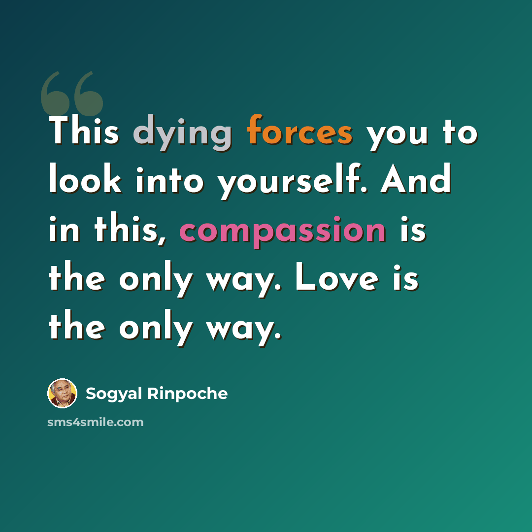 “This dying forces you to look into yourself. And in this, compassion is the only way. Love is the only way.” quote by Sogyal Rinpoche