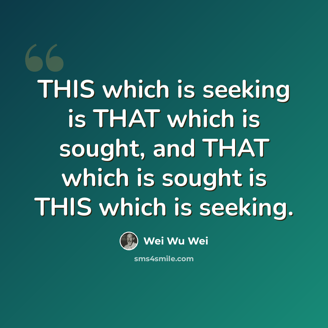 “THIS which is seeking is THAT which is sought, and THAT which is sought is THIS which is seeking.” quote by Wei Wu Wei