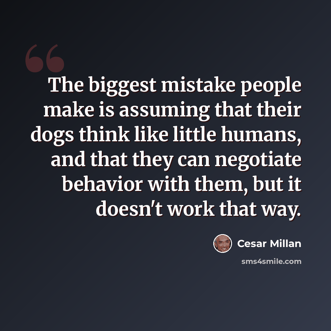“The biggest mistake people make is assuming that their dogs think like little humans, and that they can negotiate behavior with them, but it doesn't work that way.” quote by Cesar Millan