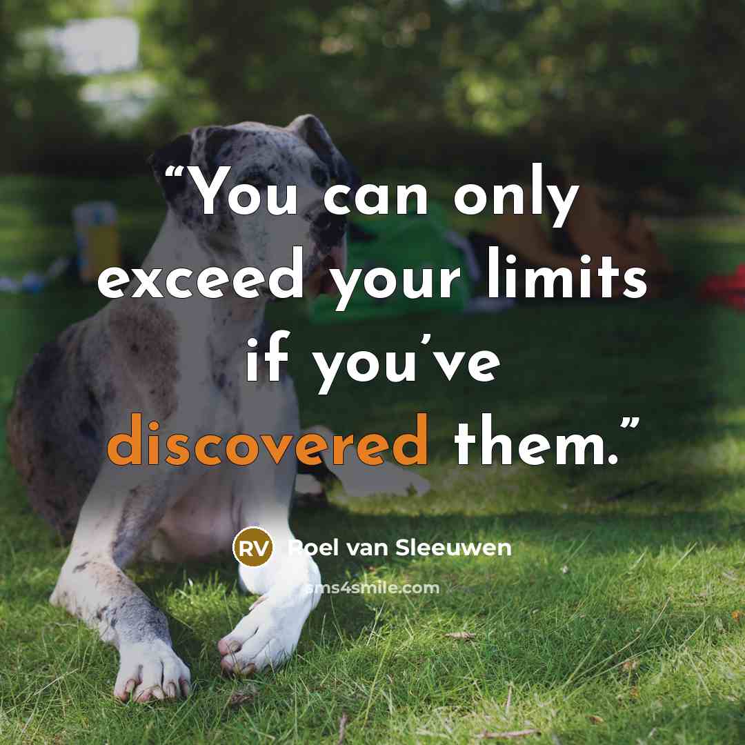 “You can only exceed your limits if you’ve discovered them.” quote by Roel van Sleeuwen