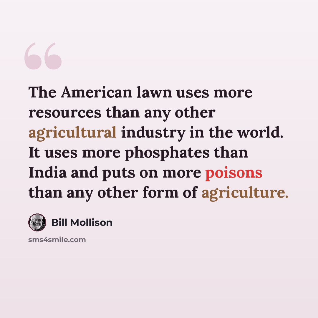 “The American lawn uses more resources than any other agricultural industry in the world. It uses more phosphates than India and puts on more poisons than any other form of agriculture.” quote by Bill Mollison