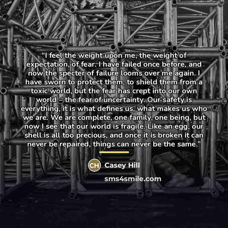 “I feel the weight upon me, the weight of expectation, of fear. I have failed once before, and now the specter of failure looms over me again. I have sworn to protect them, to shield them from a toxic world, but the fear has crept into our own world – the fear of uncertainty. Our safety is…” quote by Casey Hill
