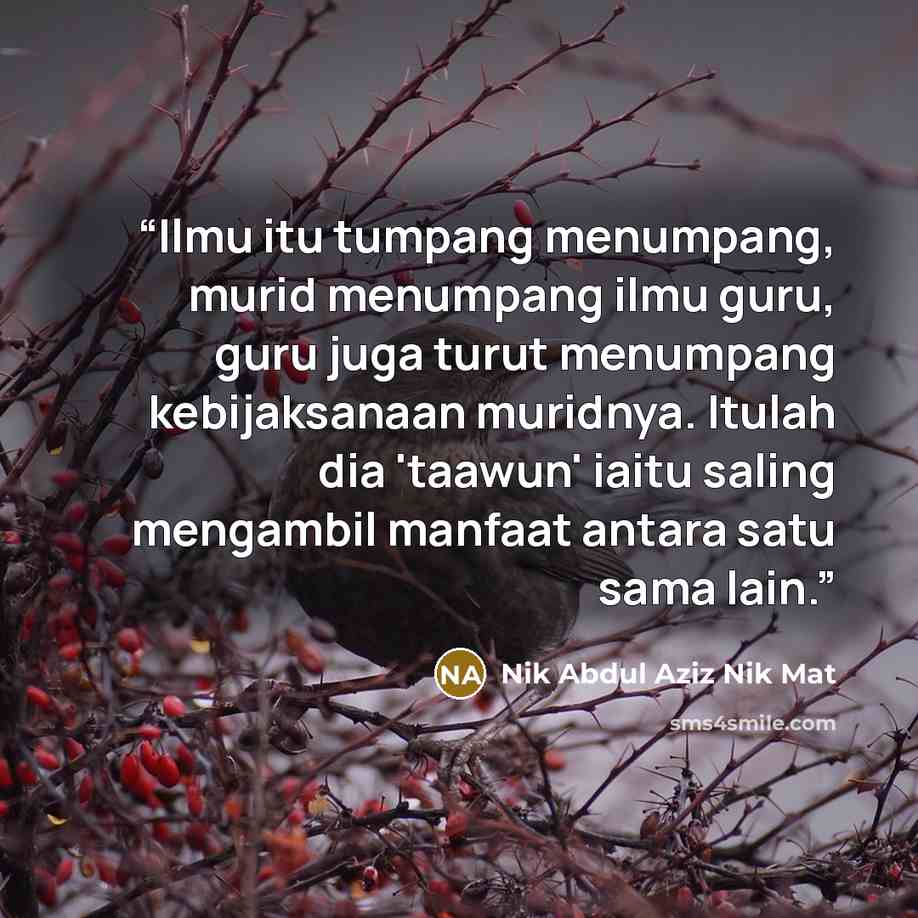 “Ilmu itu tumpang menumpang, murid menumpang ilmu guru, guru juga turut menumpang kebijaksanaan muridnya. Itulah dia 'taawun' iaitu saling mengambil manfaat antara satu sama lain.” quote by Nik Abdul Aziz Nik Mat