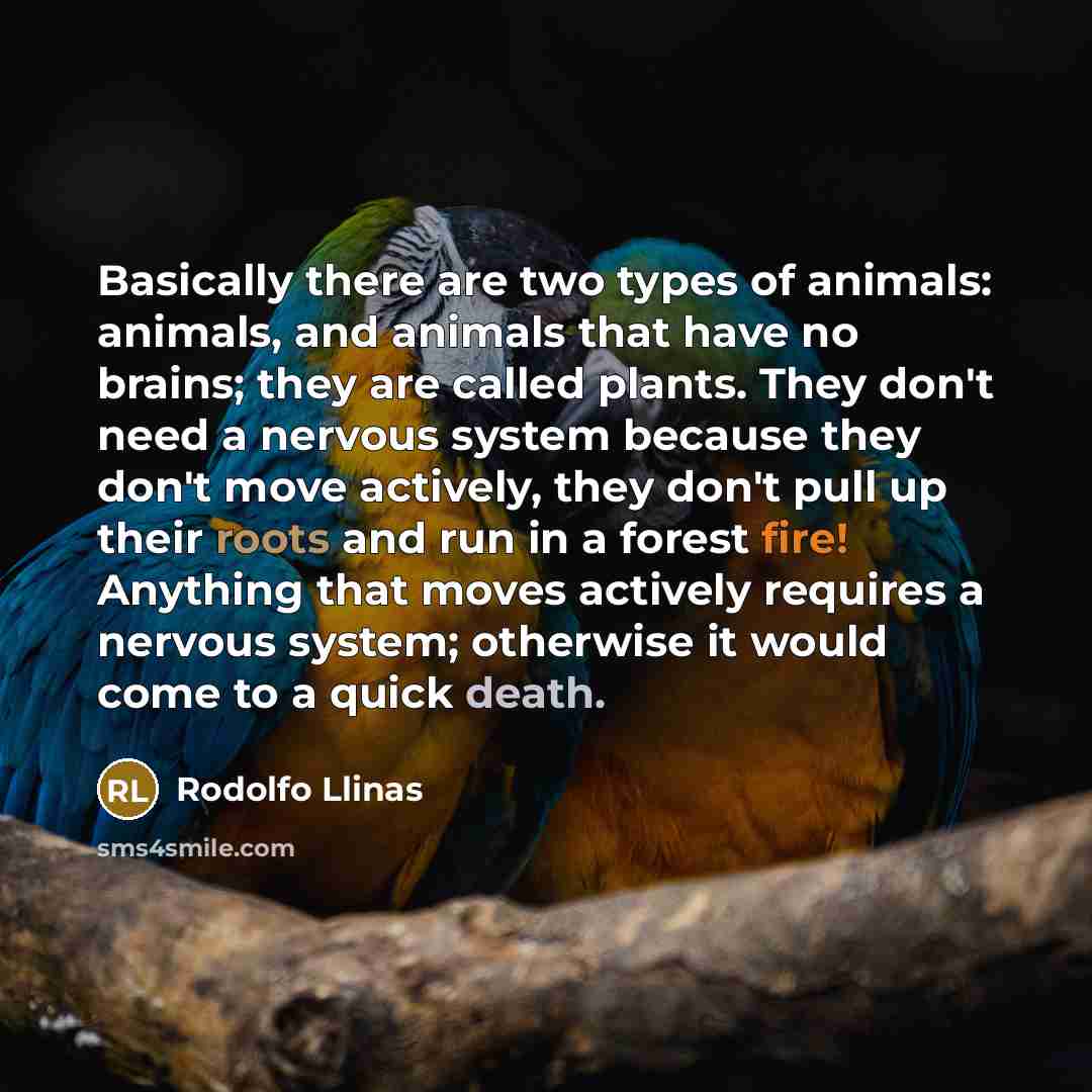 “Basically there are two types of animals: animals, and animals that have no brains; they are called plants. They don't need a nervous system because they don't move actively, they don't pull up their roots and run in a forest fire! Anything that moves actively requires a nervous system; otherwise…” quote by Rodolfo Llinas