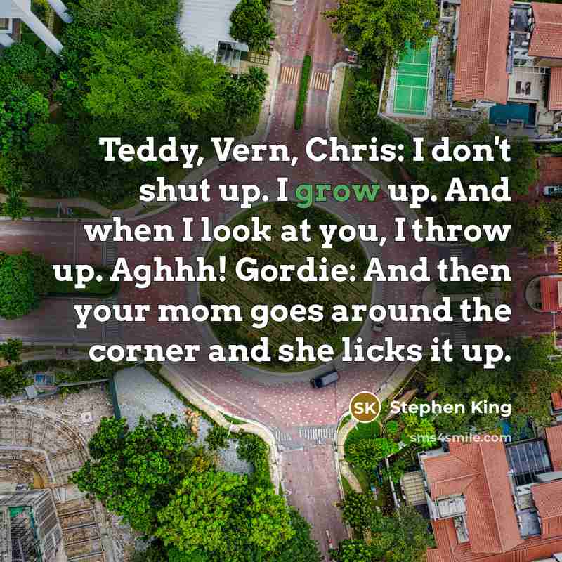 “Teddy, Vern, Chris: I don't shut up. I grow up. And when I look at you, I throw up. Aghhh! Gordie: And then your mom goes around the corner and she licks it up.” quote by Stephen King