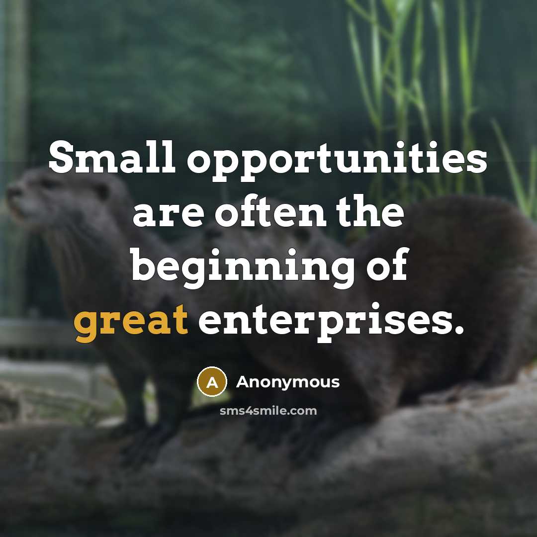 “Small opportunities are often the beginning of great enterprises.” quote by Anonymous