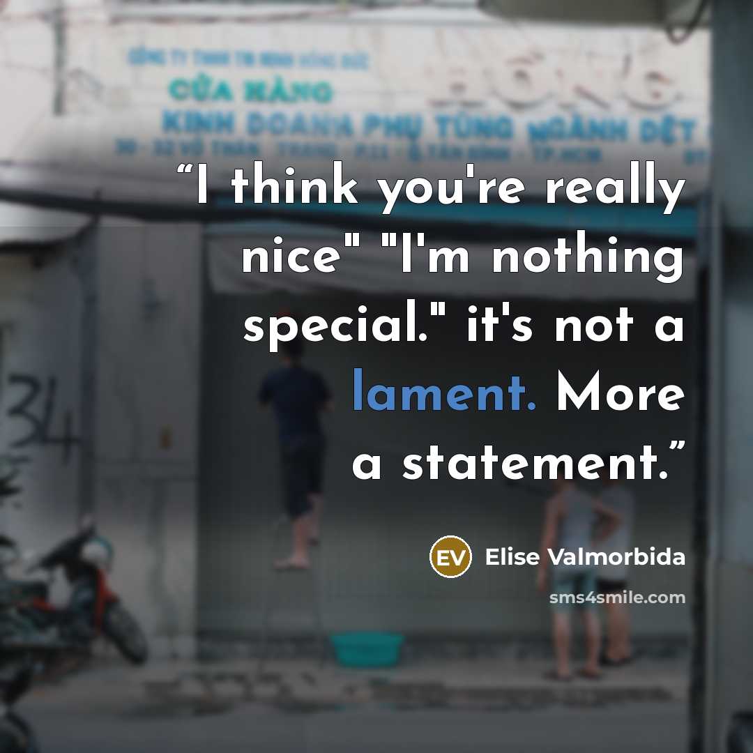 “I think you're really nice" "I'm nothing special." it's not a lament. More a statement.” quote by Elise Valmorbida