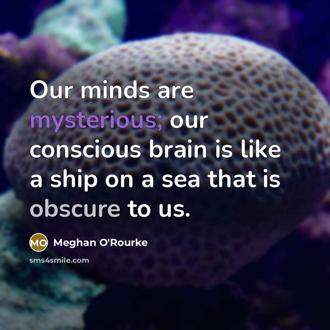 “Our minds are mysterious; our conscious brain is like a ship on a sea that is obscure to us.” quote by Meghan O'Rourke