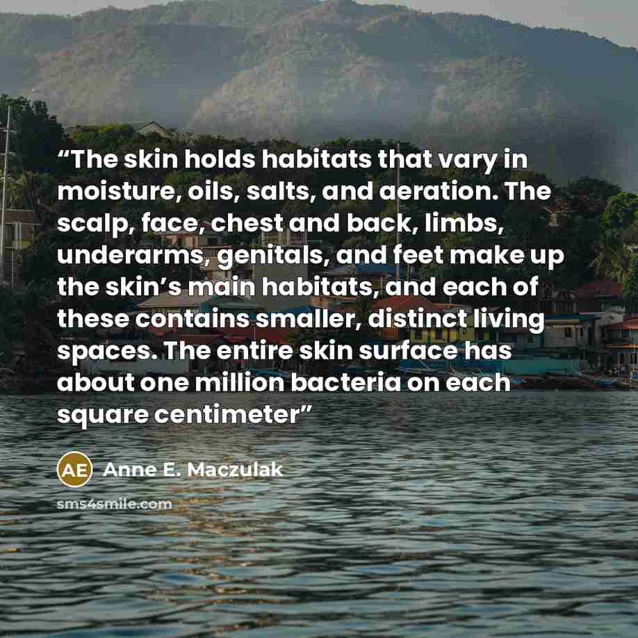 “The skin holds habitats that vary in moisture, oils, salts, and aeration. The scalp, face, chest and back, limbs, underarms, genitals, and feet make up the skin’s main habitats, and each of these contains smaller, distinct living spaces. The entire skin surface has about one million bacteria on…” quote by Anne E. Maczulak