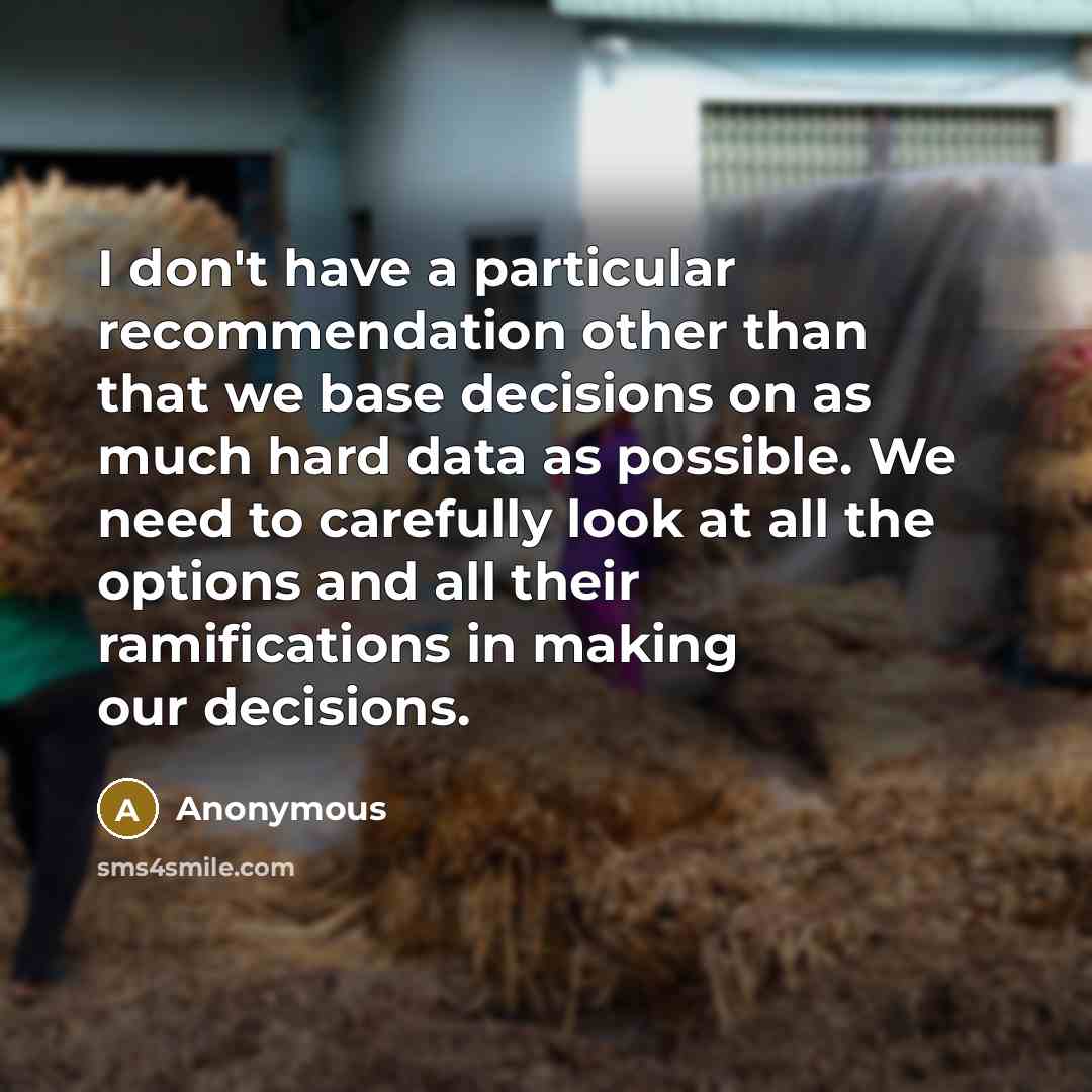 “I don't have a particular recommendation other than that we base decisions on as much hard data as possible. We need to carefully look at all the options and all their ramifications in making our decisions.” quote by Anonymous