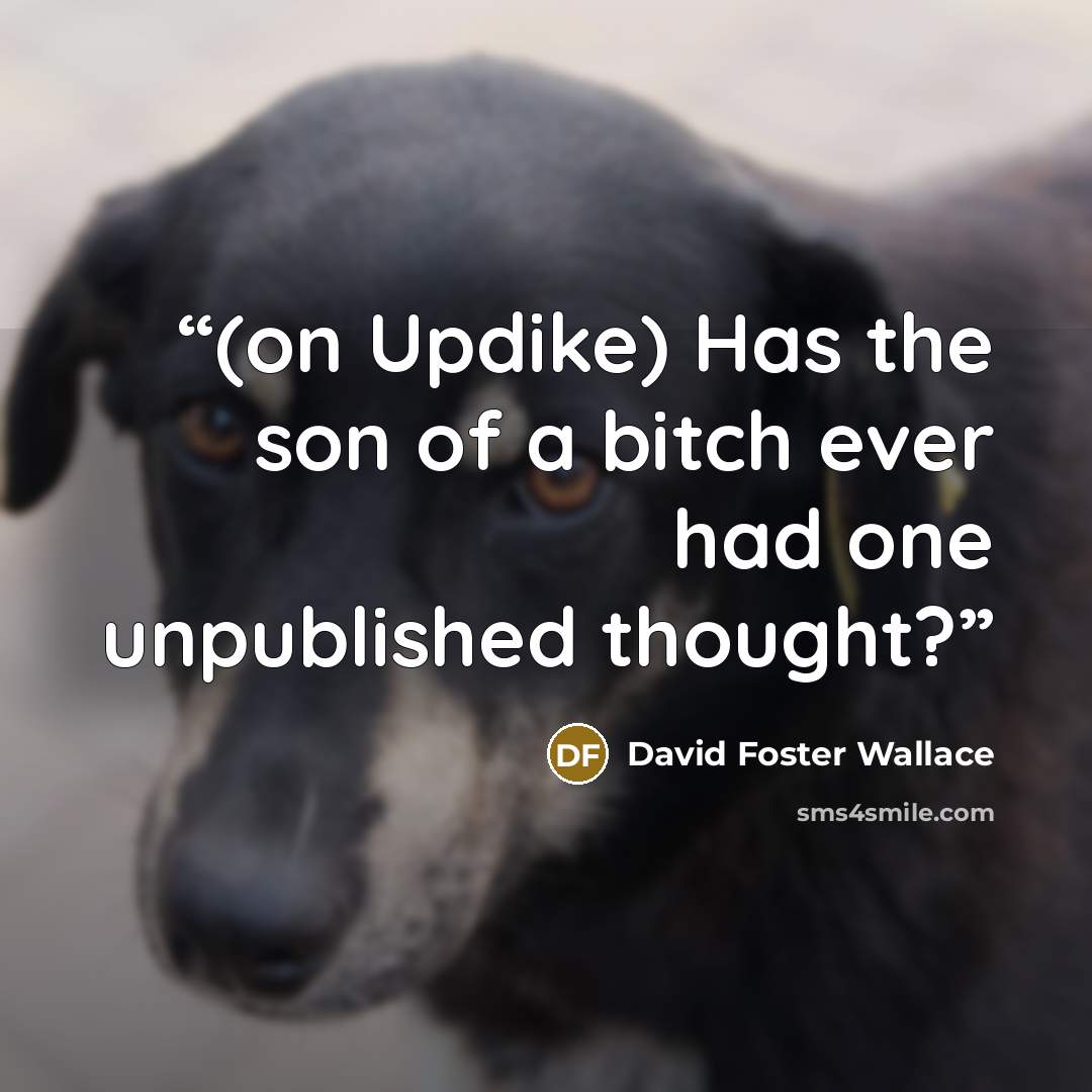 “(on Updike) Has the son of a bitch ever had one unpublished thought?” quote by David Foster Wallace