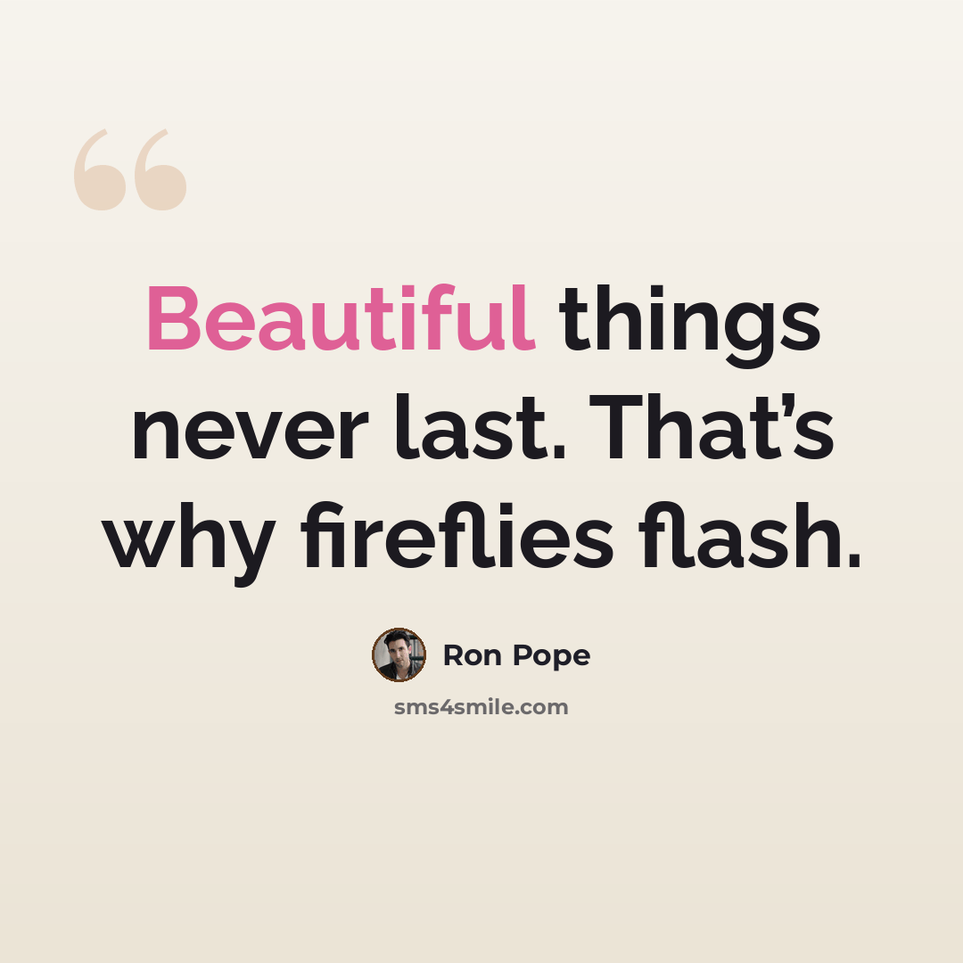 “Beautiful things never last. That’s why fireflies flash.” quote by Ron Pope