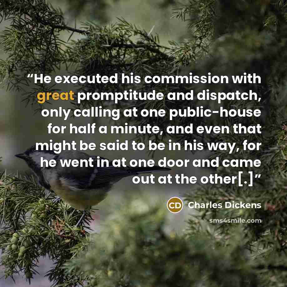 “He executed his commission with great promptitude and dispatch, only calling at one public-house for half a minute, and even that might be said to be in his way, for he went in at one door and came out at the other[.]” quote by Charles Dickens