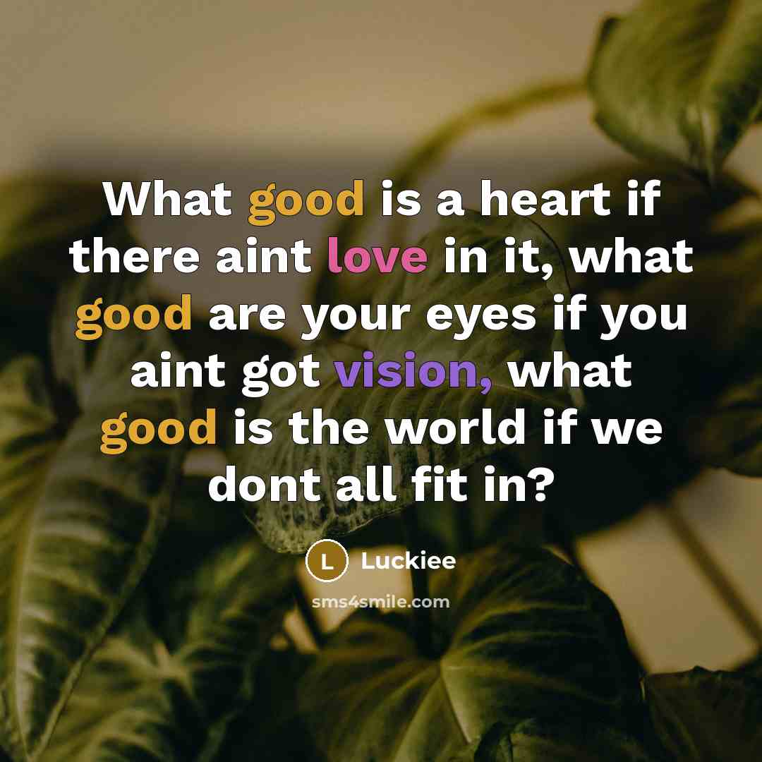 “What good is a heart if there aint love in it, what good are your eyes if you aint got vision, what good is the world if we dont all fit in?” quote by Luckiee