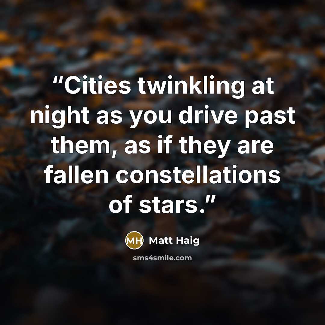 “Cities twinkling at night as you drive past them, as if they are fallen constellations of stars.” quote by Matt Haig